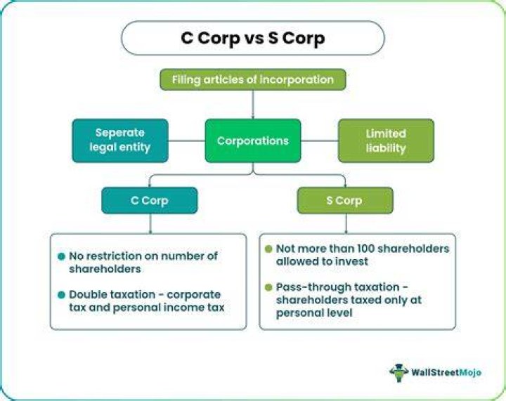 Can an S corp own stock in a foreign company?
