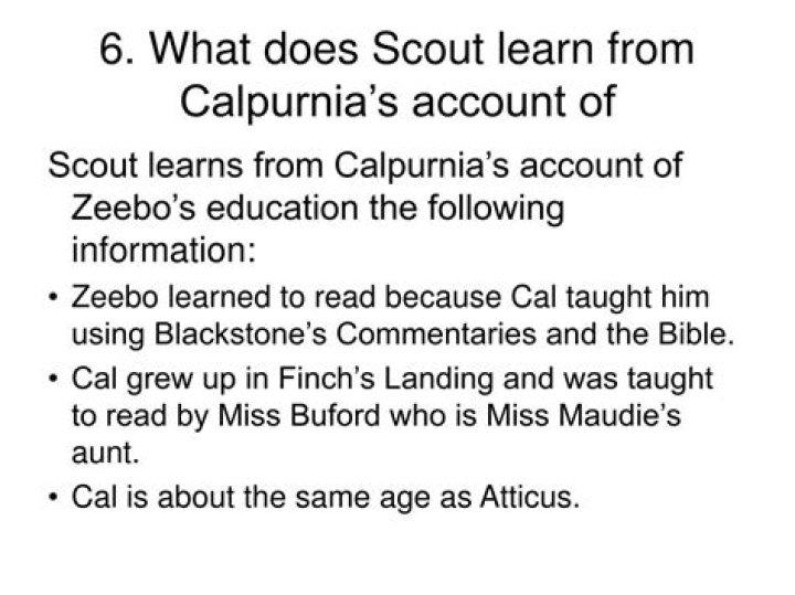 How did Calpurnia teach Scout read?