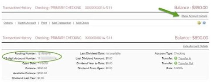 How do I find out my account balance?
