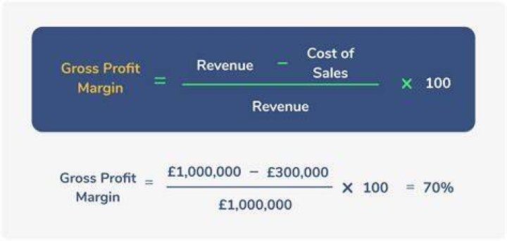 How do you calculate gross profit margin when there is a loss?