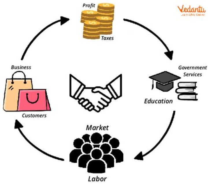 How does the government have an effect on businesses?