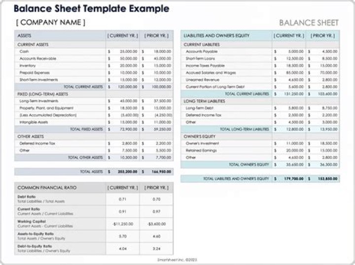 How many accounts are on a balance sheet?