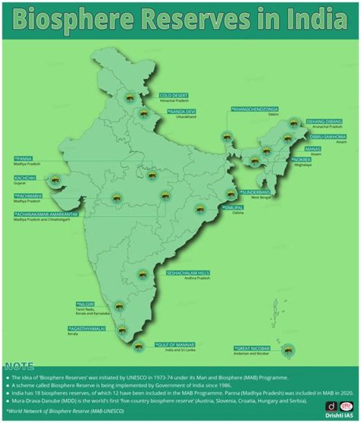 How many PNB are there in India?