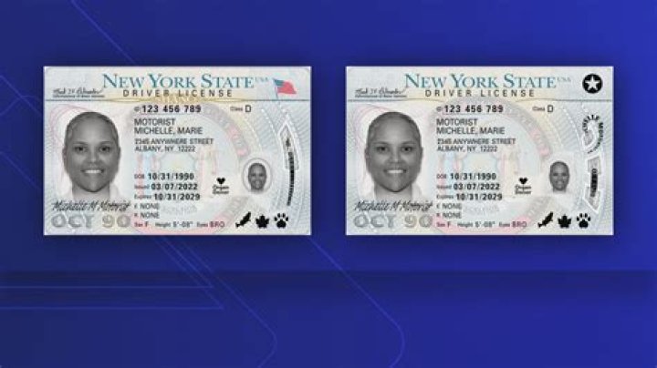 How much is a NY state ID?