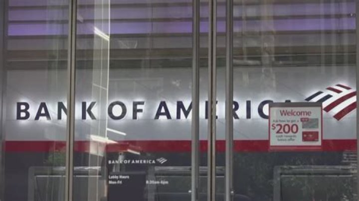 Is Bank of America a merchandising business?