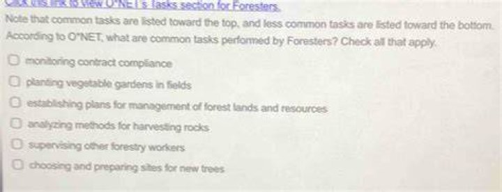 What are common tasks performed by foresters check all that apply?