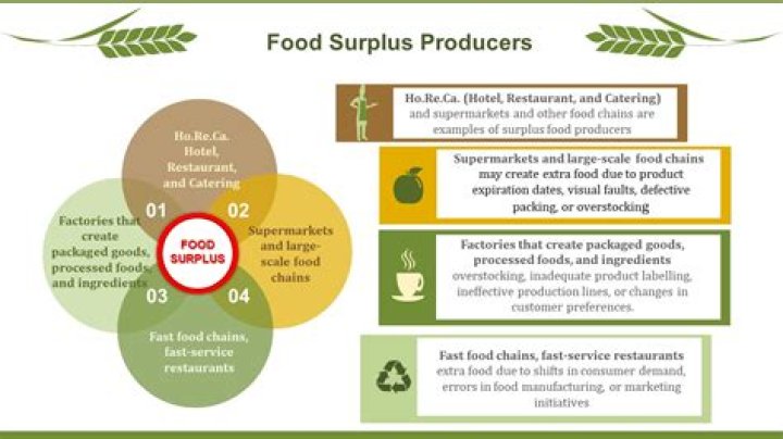 What are examples of surplus foods?