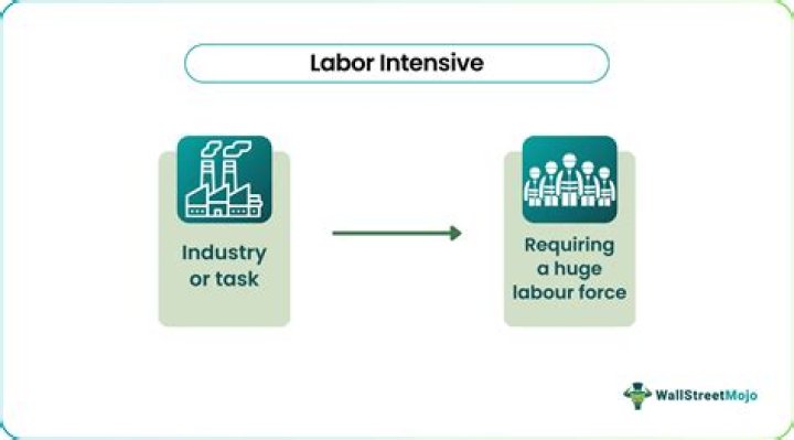 What are problems commonly faced by labor intensive industries?