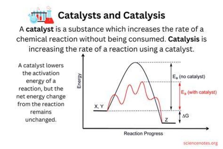 What are some catalyst for change?