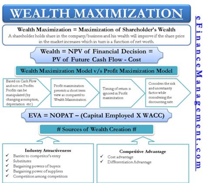 What are some of the problems involved in implementing the goal of maximization of shareholder wealth?