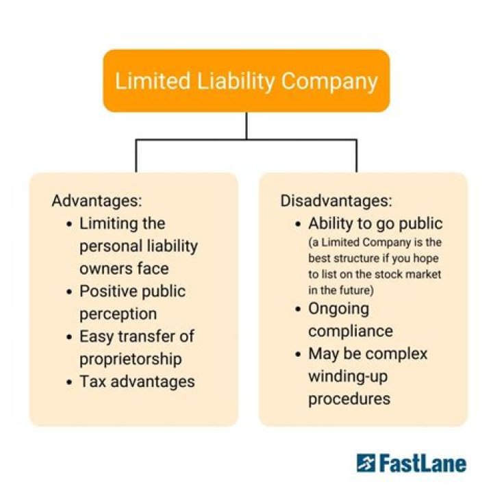 What are the advantages and disadvantages of limited liability entities?