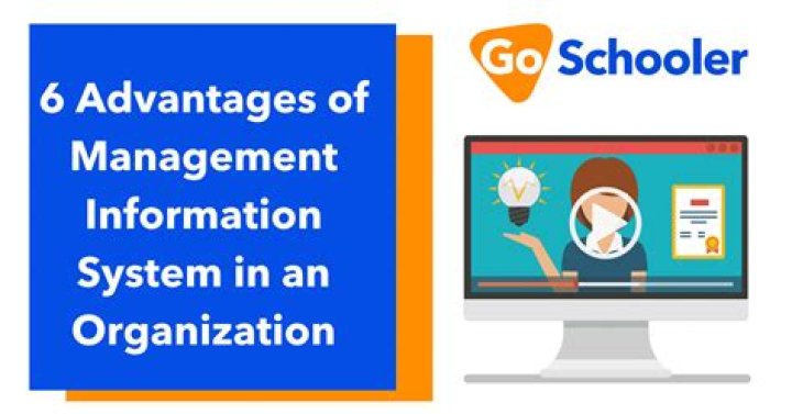 What are the advantages of information management system?