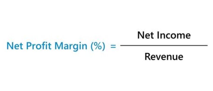 What are the advantages of net profit margin?