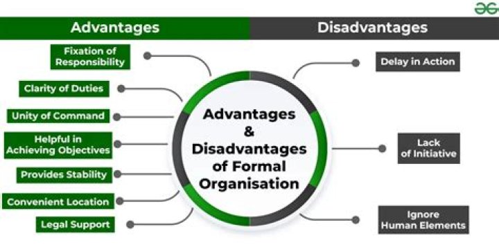 What are the advantages of organization?