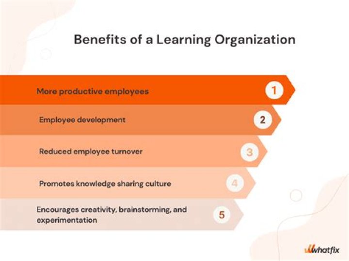 What are the benefits of learning organization?