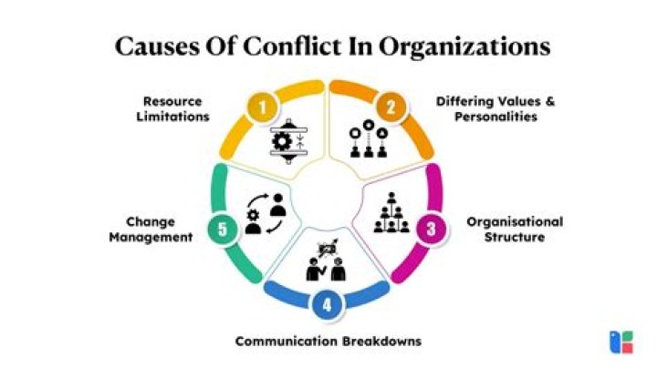 What are the causes of conflicts in an organization?