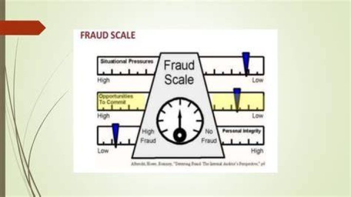 What are the components of the fraud scale?