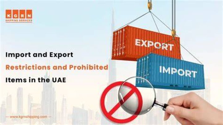 What are the effects of import restrictions on trade?