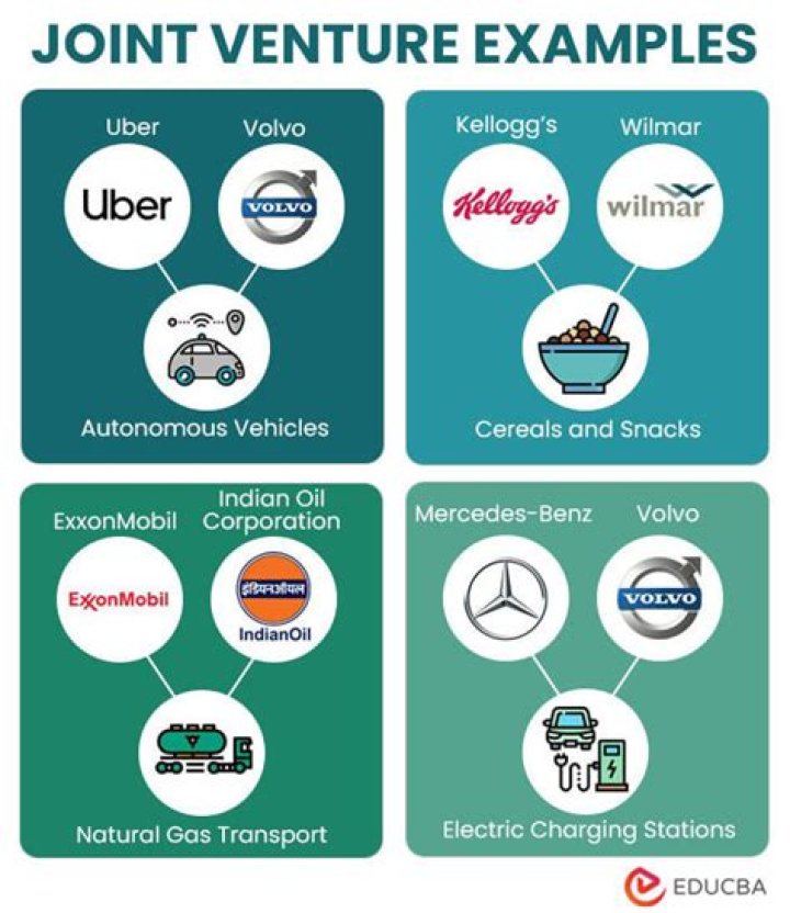 What are the example of joint ventures?