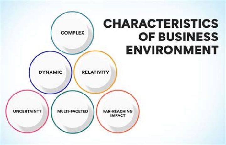What are the four characteristics of business environment?