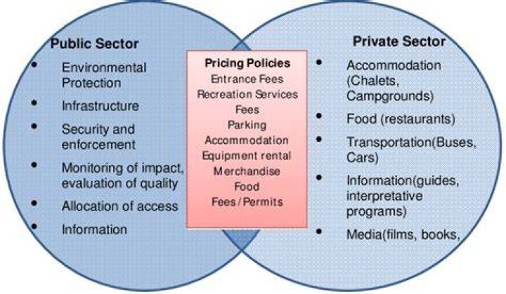 What are the main limitations of private sector?