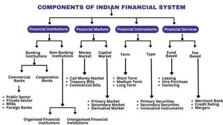 What are the major issues in Indian financial system?