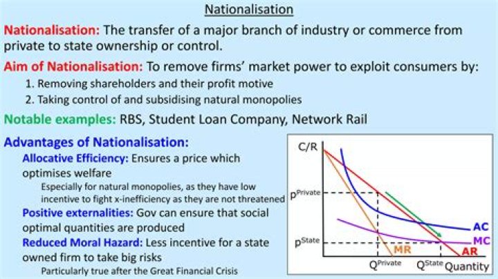What are the reasons for Nationalisation?
