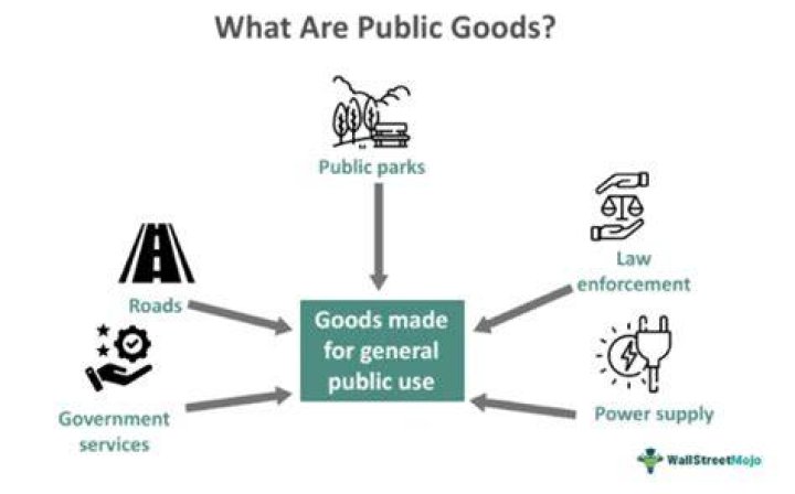 What are the reasons why governments provides public goods and services?