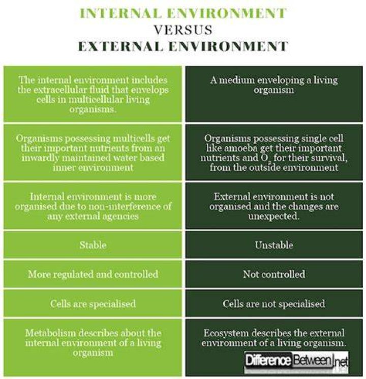 What are the relationship between internal and external environment?