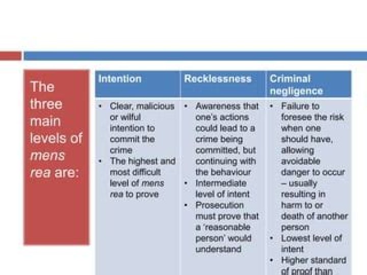 What are the three levels of negligence?