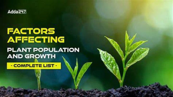 What are the three main factors that usually affect plant growth?