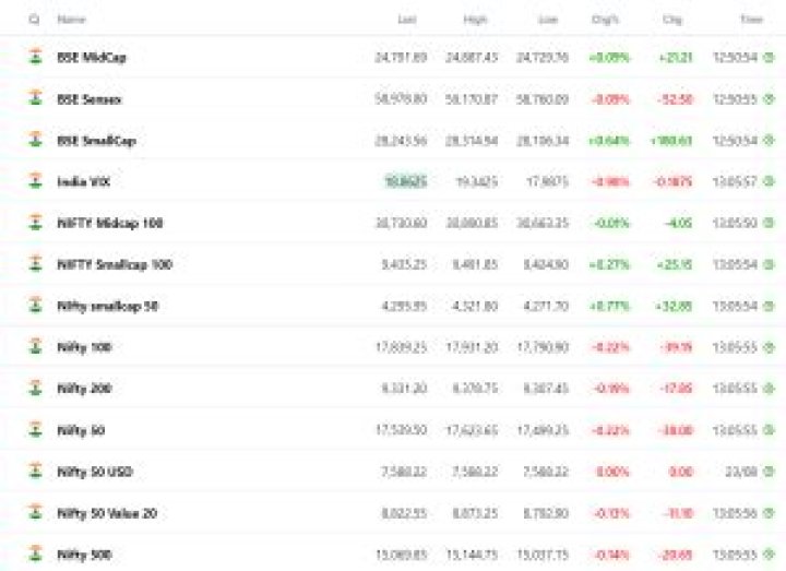 What are the two indices of stock market in India?