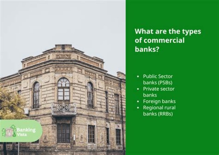 What are the types of commercial banks?