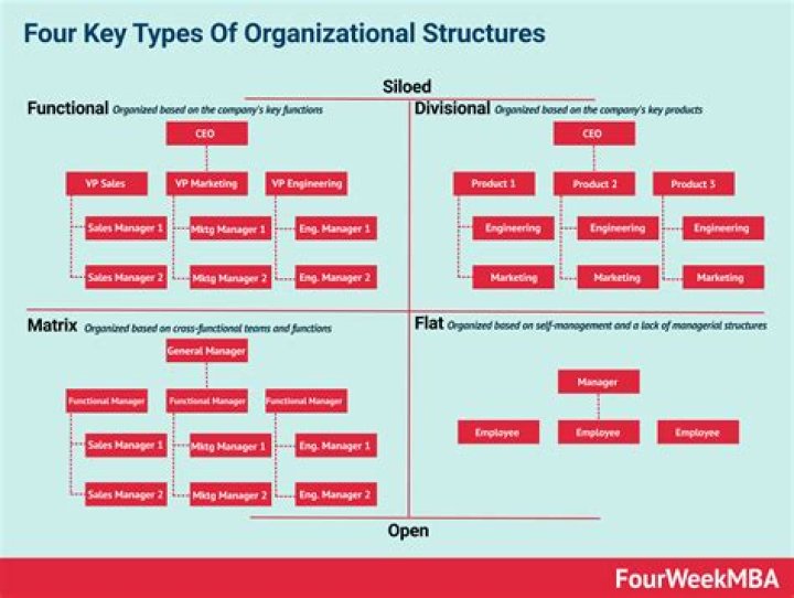 What are the types of organizational design?