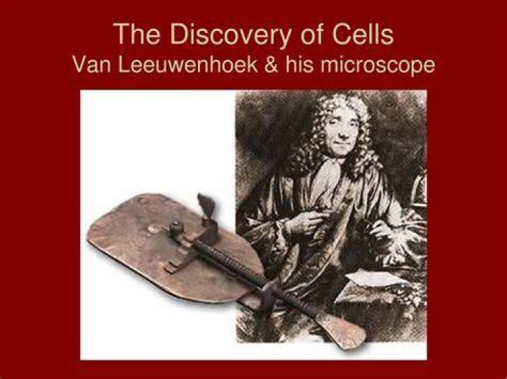 What did van Leeuwenhoek call his discovery and why?