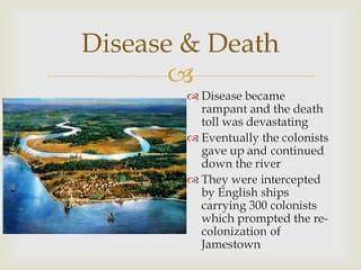 What diseases did the English bring to Jamestown?