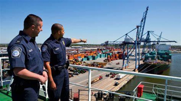 What do excise officers do?
