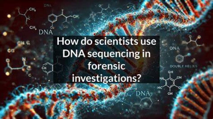 What do forensic scientists do with DNA?