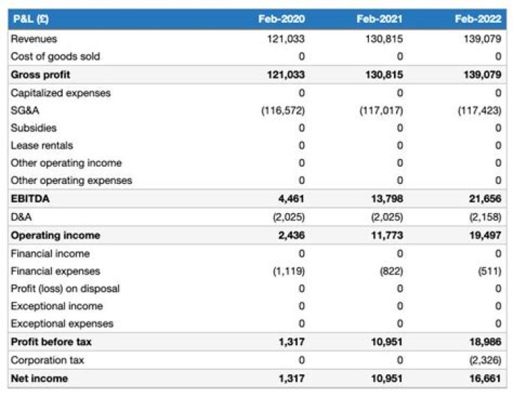 What does P L stand for in finance?