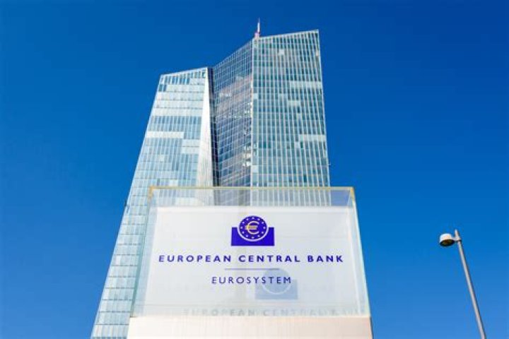 What does the European Central Bank manage?