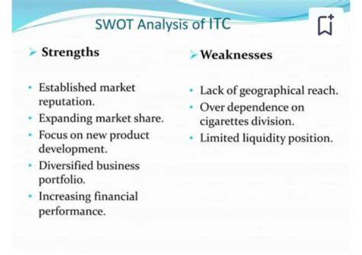 What helps to identify strengths and weaknesses of the company?