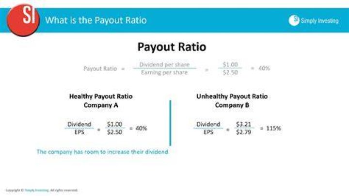 What is a good payout ratio for a company?