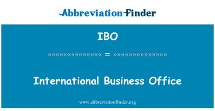 What is an IBO in business?