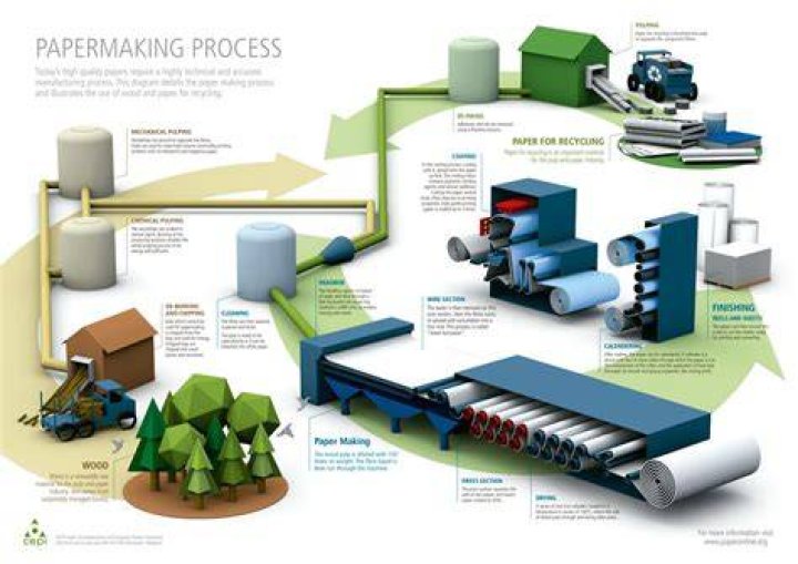 What is the environmental impact of paper production?