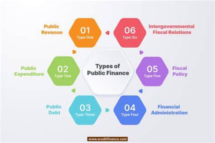 What is the meaning of public finance?