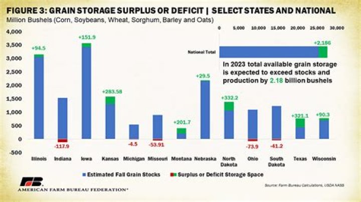 What is the meaning of surplus grain?