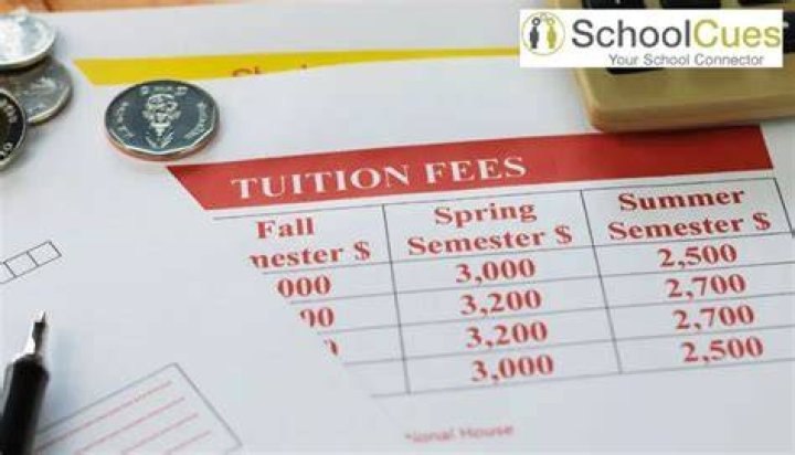 What is the meaning of term fees in school?