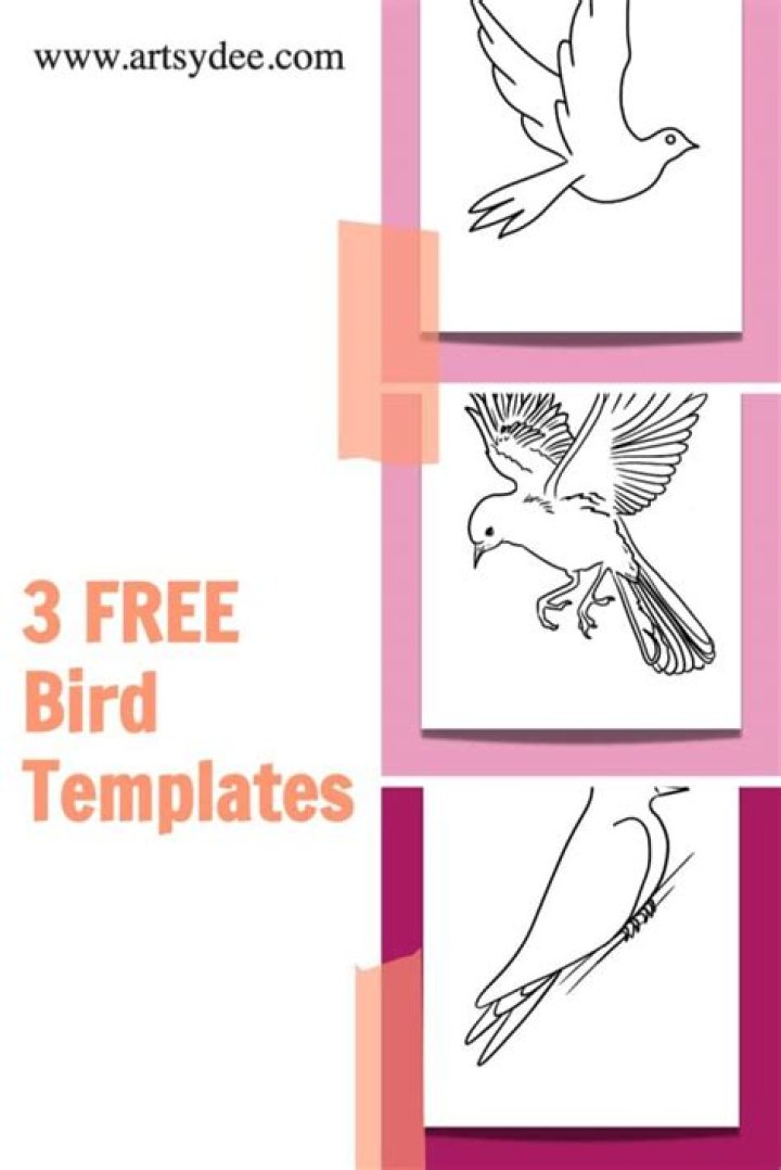 What is the message of Free Bird?
