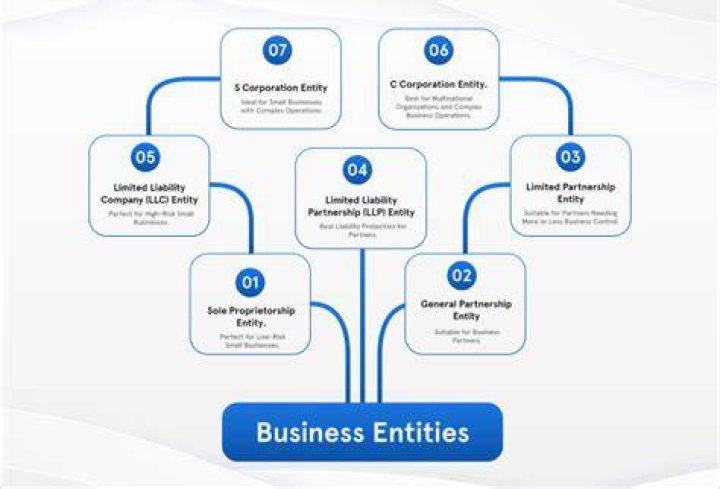 What is the purpose of forming a business entity?