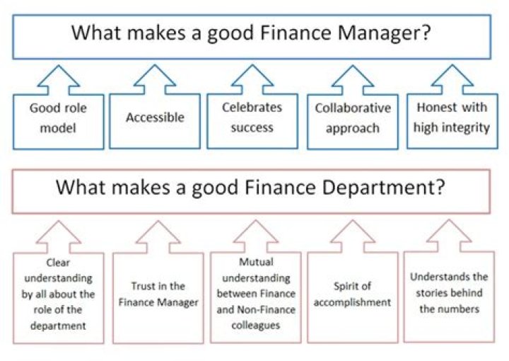 What makes a good finance manager?